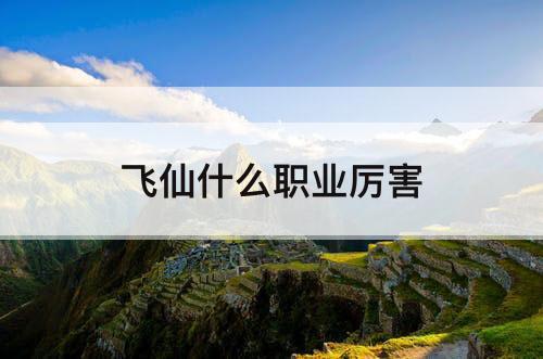 飞仙什么职业厉害