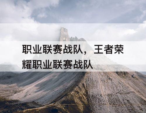 职业联赛战队,王者荣耀职业联赛战队