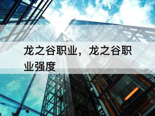 龙之谷职业，龙之谷职业强度