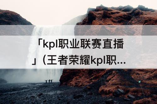 「kpl职业联赛直播」(王者荣耀kpl职业联赛直播回放)