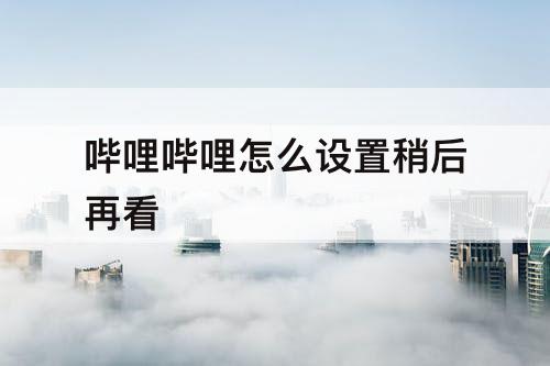 哔哩哔哩怎么设置稍后再看