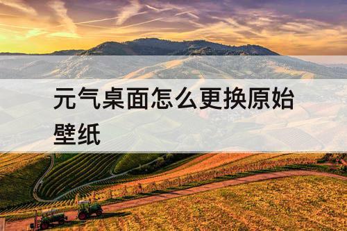 元气桌面怎么更换原始壁纸