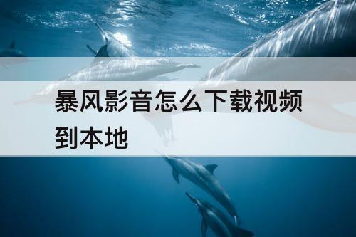 暴风影音怎么下载视频到本地
