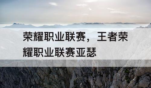 荣耀职业联赛,王者荣耀职业联赛亚瑟