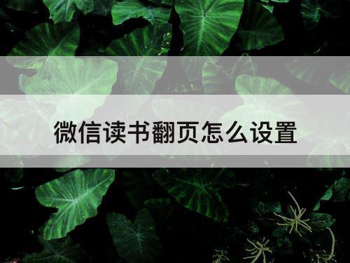 微信读书翻页怎么设置