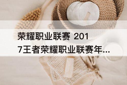 荣耀职业联赛 2017王者荣耀职业联赛年度最佳颁奖典礼