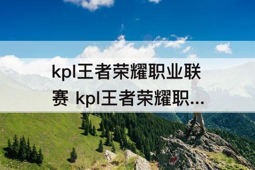kpl王者荣耀职业联赛 kpl王者荣耀职业联赛排名
