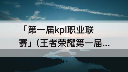 「第一届kpl职业联赛」(王者荣耀第一届KPL职业联赛)