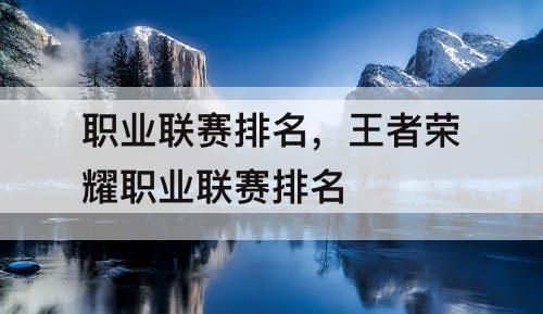职业联赛排名,王者荣耀职业联赛排名