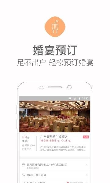 婚礼猫截图