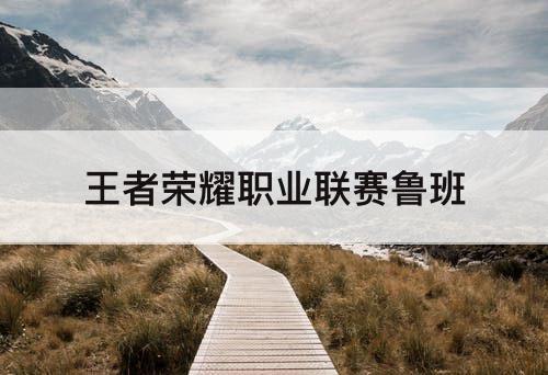 王者荣耀职业联赛鲁班