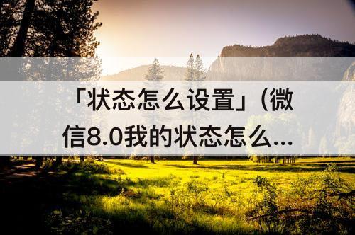 「状态怎么设置」(微信8.0我的状态怎么设置)