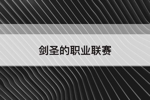 剑圣的职业联赛
