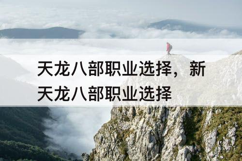 天龙八部职业选择,新天龙八部职业选择