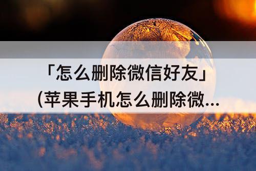 「怎么删除微信好友」(苹果手机怎么删除微信好友块)