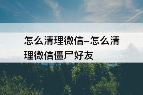 怎么清理微信-怎么清理微信僵尸好友