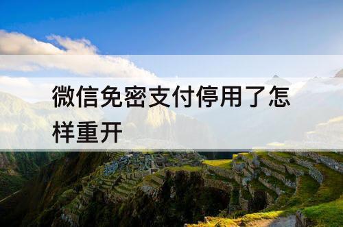 微信免密支付停用了怎样重开