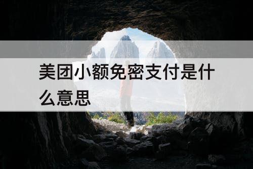 美团小额免密支付是什么意思