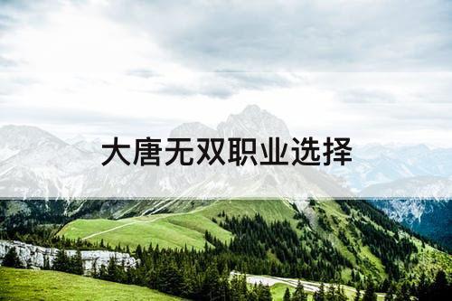 大唐无双职业选择