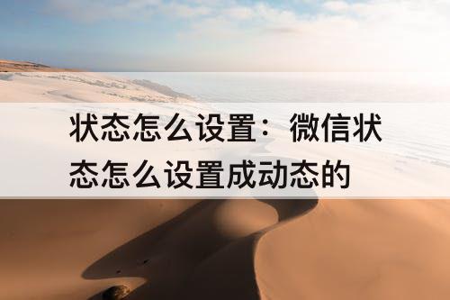 状态怎么设置:微信状态怎么设置成动态的