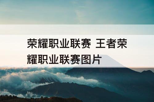 荣耀职业联赛 王者荣耀职业联赛图片