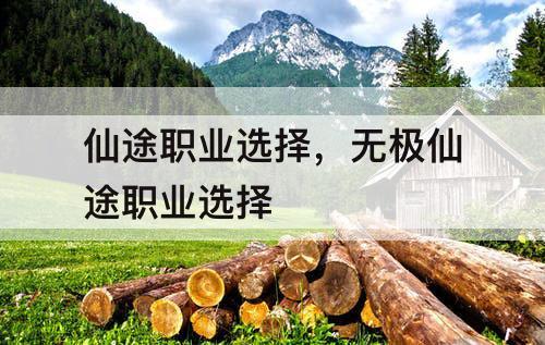 仙途职业选择，无极仙途职业选择