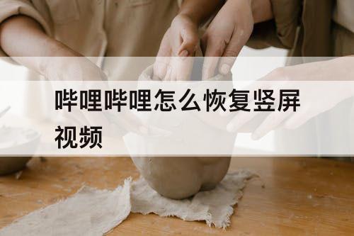 哔哩哔哩怎么恢复竖屏视频