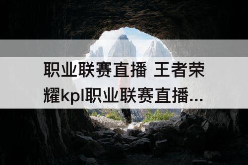职业联赛直播 王者荣耀kpl职业联赛直播蔡文姬