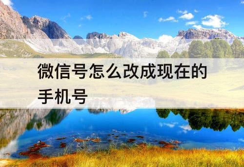微信号怎么改成现在的手机号