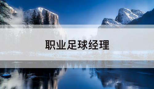 职业足球经理
