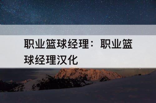 职业篮球经理:职业篮球经理汉化