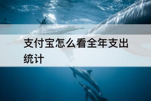 支付宝怎么看全年支出统计