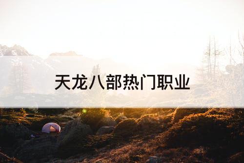 天龙八部热门职业