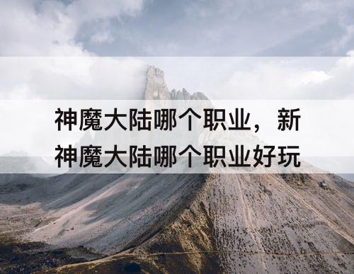 神魔大陆哪个职业,新神魔大陆哪个职业好玩