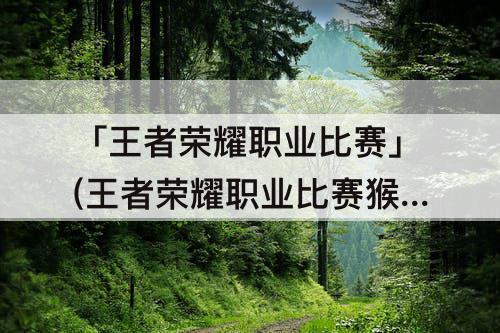 「王者荣耀职业比赛」(王者荣耀职业比赛猴子)
