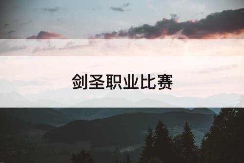 剑圣职业比赛