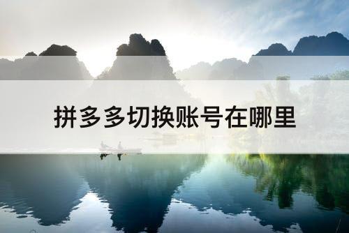 拼多多切换账号在哪里