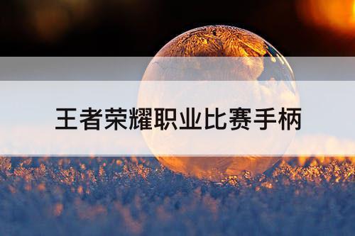 王者荣耀职业比赛手柄