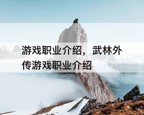 游戏职业介绍,武林外传游戏职业介绍