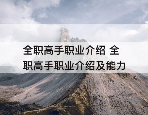 全职高手职业介绍 全职高手职业介绍及能力