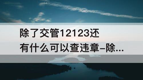 除了交管12123还有什么可以查违章-除了交管12123还有什么可以查违章驾驶证扣分