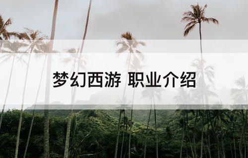 梦幻西游 职业介绍