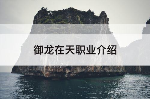 御龙在天职业介绍