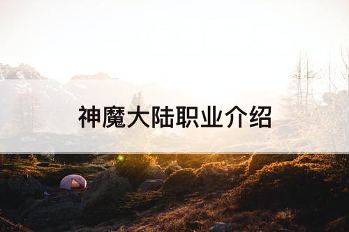 神魔大陆职业介绍
