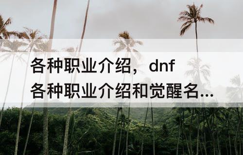 各种职业介绍,dnf各种职业介绍和觉醒名称