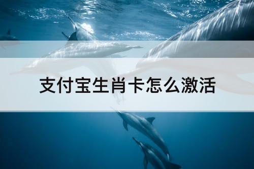 支付宝生肖卡怎么激活