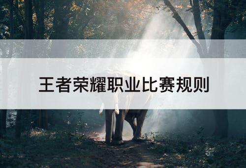 王者荣耀职业比赛规则