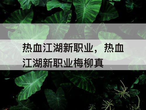 热血江湖新职业,热血江湖新职业梅柳真