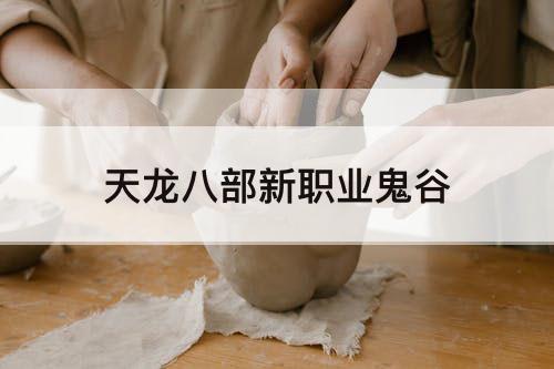 天龙八部新职业鬼谷
