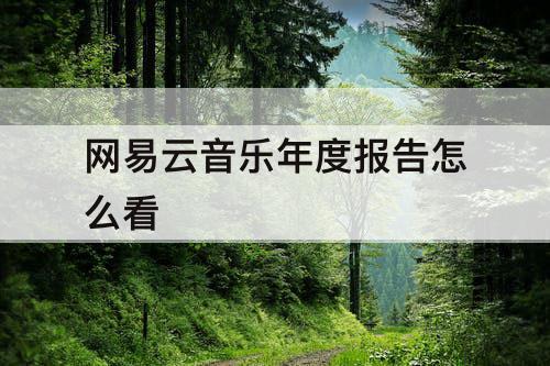 网易云音乐年度报告怎么看